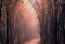 [英超]两分钟定红蓝 曼联逆转笑傲“曼市德比”.