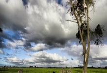 Here we go！罗马诺：曼联任命阿莫林为新帅.